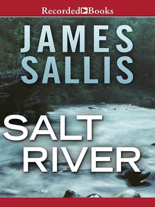 Cover image for Salt River